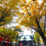 平林寺【埼玉県】 DSC 0514 1 150x150 - 平林寺【埼玉県】