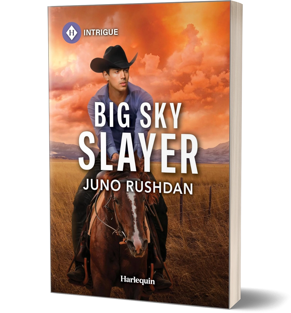 IPS-1-Big_Sky_Slayer-3D