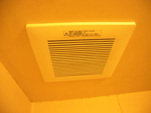 Dscn0702__ Dscn0702__