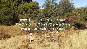 wwoof australia