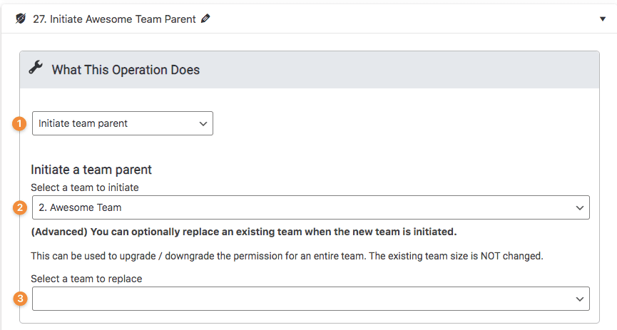 Initiate Team Leader