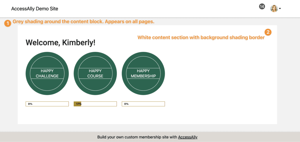 Default AccessAlly Theme Content Section