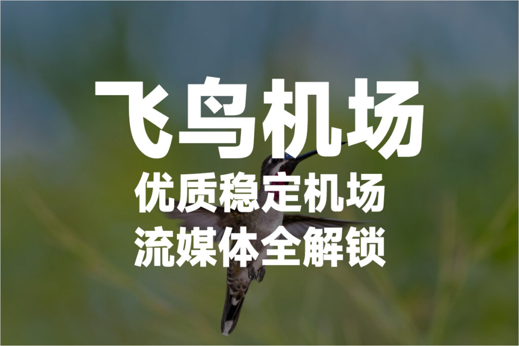 飞鸟机场 飞鸟机场