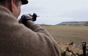 Expert guide to pigeon shooting. Taking aim at the grey grouse.