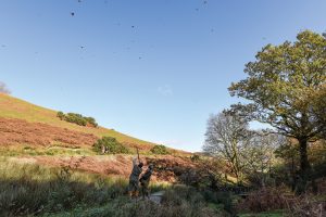 best Welsh shoots