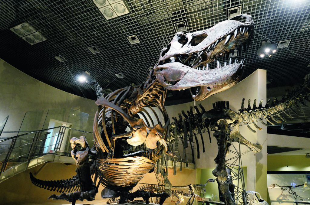 ティラノサウルスなどの全身骨格/国立科学博物館(東京都/台東区)