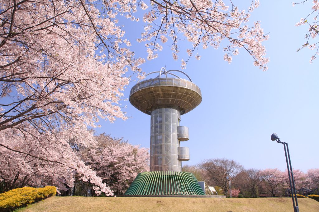 UFO型展望台と桜/十王パノラマ公園(茨城県/日立市)