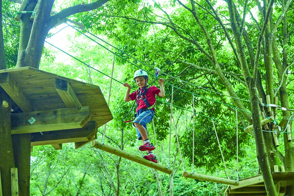 揺れるつり橋を渡る子ども/こもれび森のイバライド(茨城県/稲敷市)