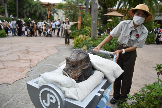 トリケラトプスの赤ちゃん/ユニバーサル・スタジオ・ジャパン(大阪市)