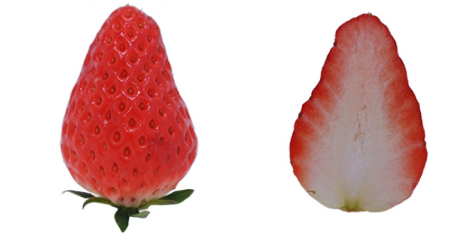 あきひめ(静岡県)