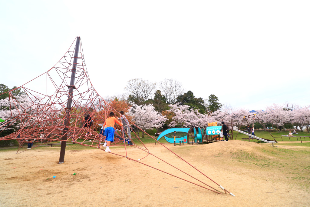 くもの巣のジャングルジム/香久山公園(奈良県橿原市)