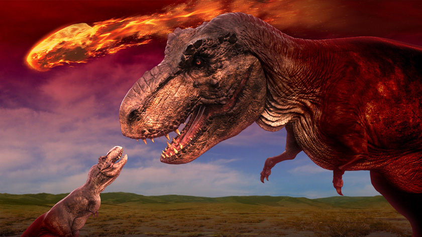 ジュラシックツアーの様子/白浜エネルギーランド(和歌山県/白浜町)