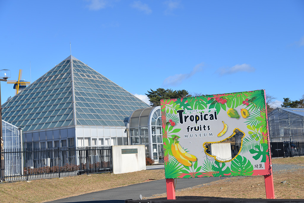 トロピカルフルーツミュージアム(福島県/広野町)