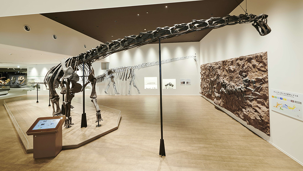 丹波竜全身骨格/たんば恐竜博物館(兵庫県/丹波市)