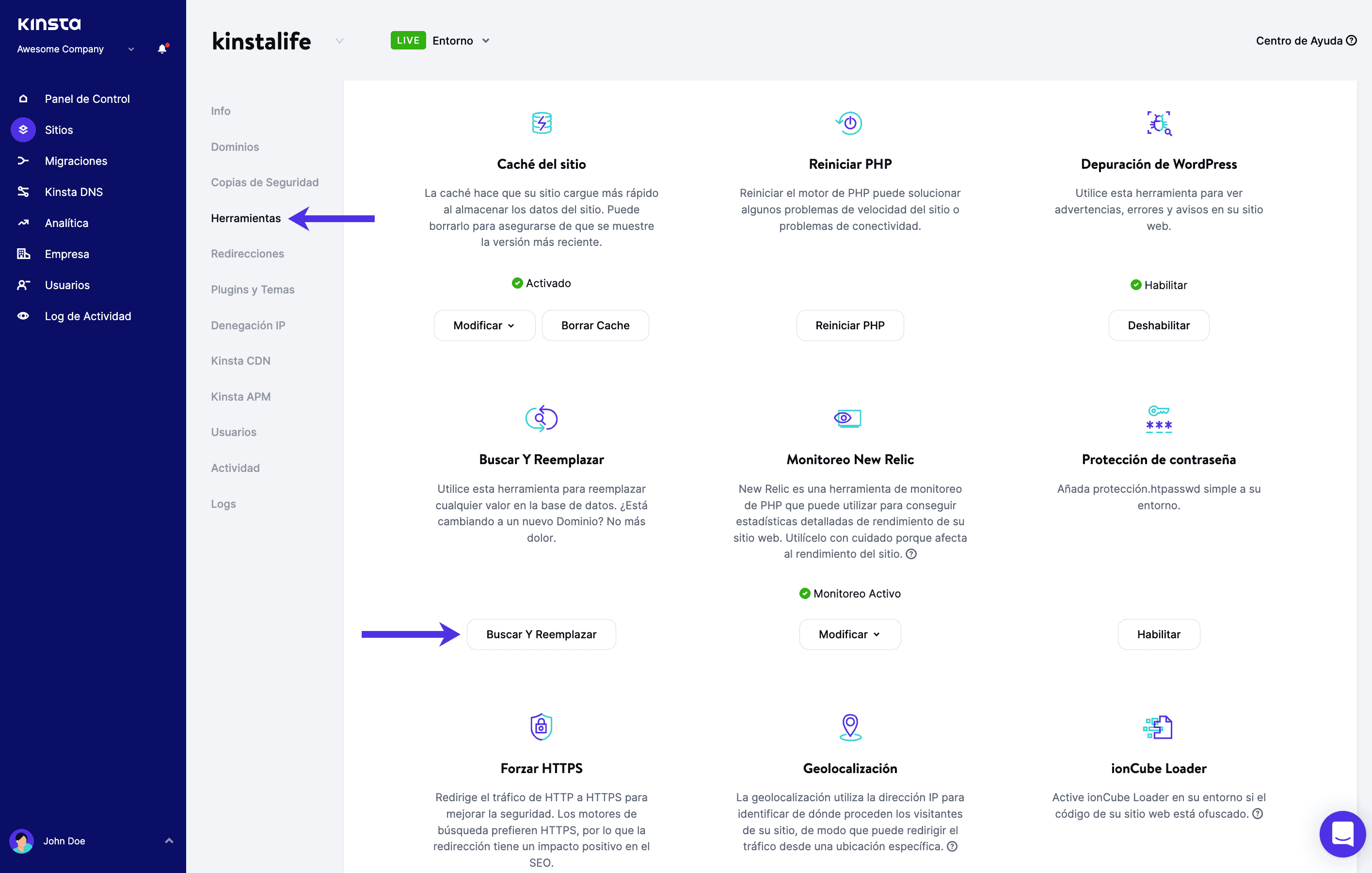 Herramienta de buscar y reemplazar de Kinsta