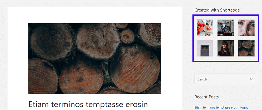 ショートコードの出力(ギャラリー)がサイドバーで確認可能