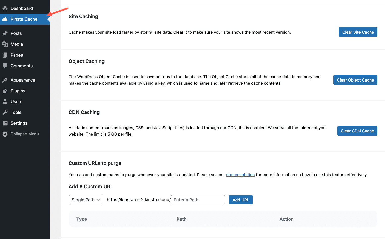 Page des réglages du cache Kinsta.