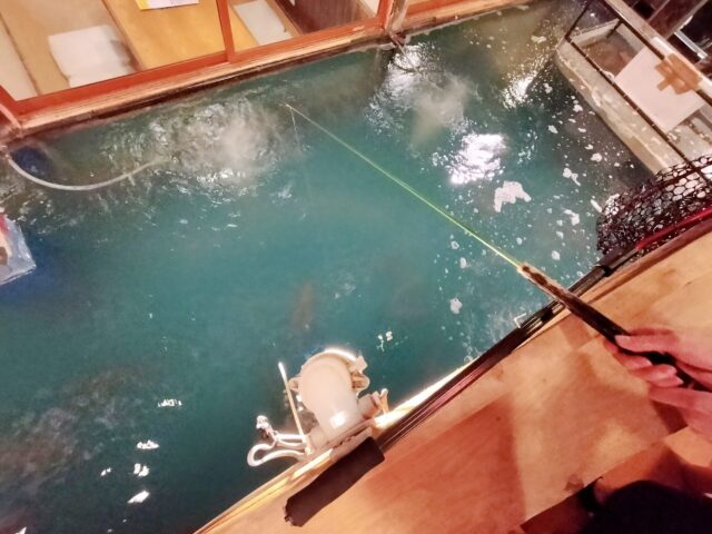 【ざうお小牧店】船の上で釣りができる居酒屋!釣りたて鯛&伊勢海老のお造りが絶品