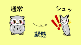 フクロウの擬態