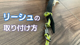 ジェスへのリーシュの取り付け方