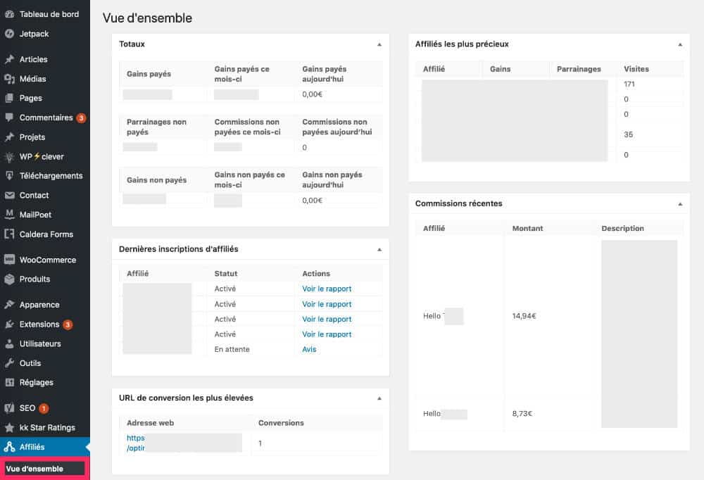 Onglet "Vue d'ensemble"