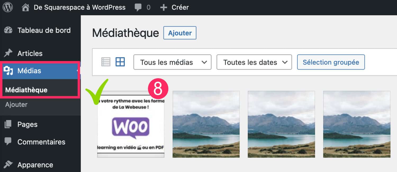 import image wordpress 3