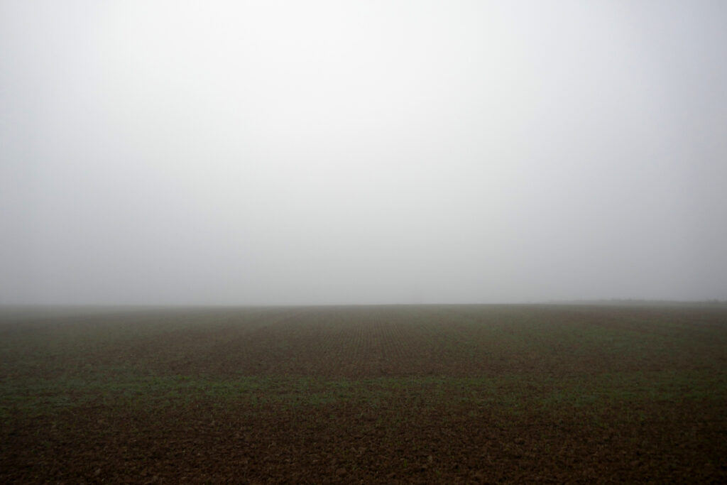 Blick über Felder in den Nebel