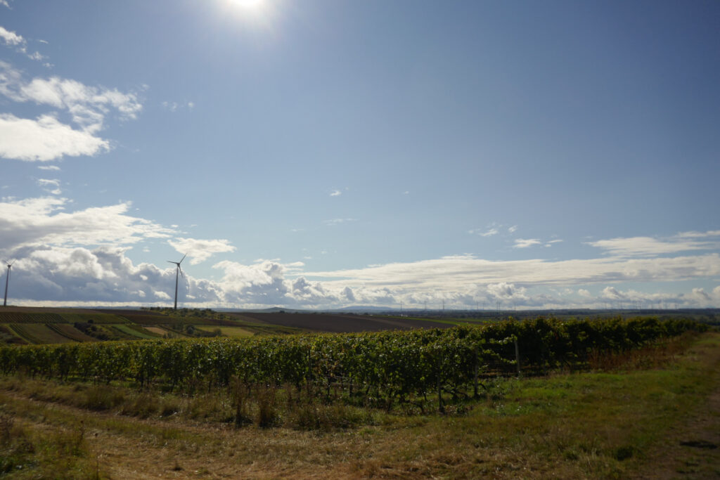 Sonnige Aussicht über Ackerland, im Hintergrund Windräder