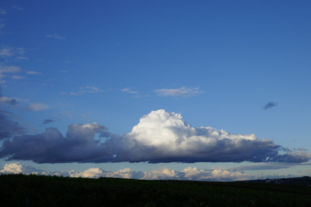 Wolke im Abendhimmel über Weinbergen