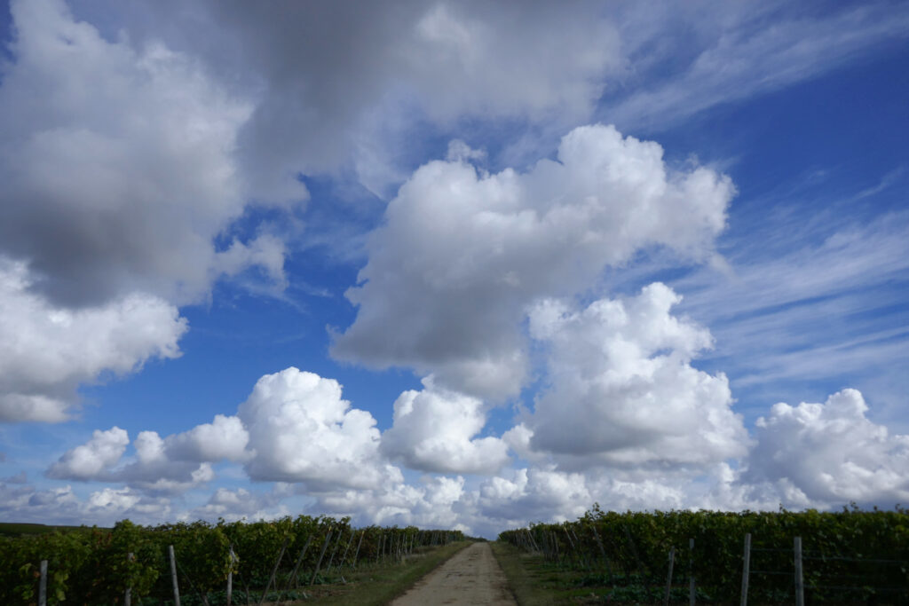 Weiße Wolken über Weinbergen