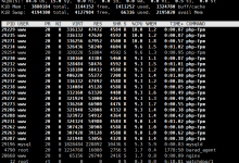 记录一次 Autoptimize 插件引起的服务器资源被攻击者恶意耗尽问题的解决过程-老王博客