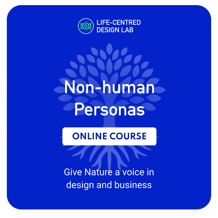 The Non-human Persona Self-paced Course