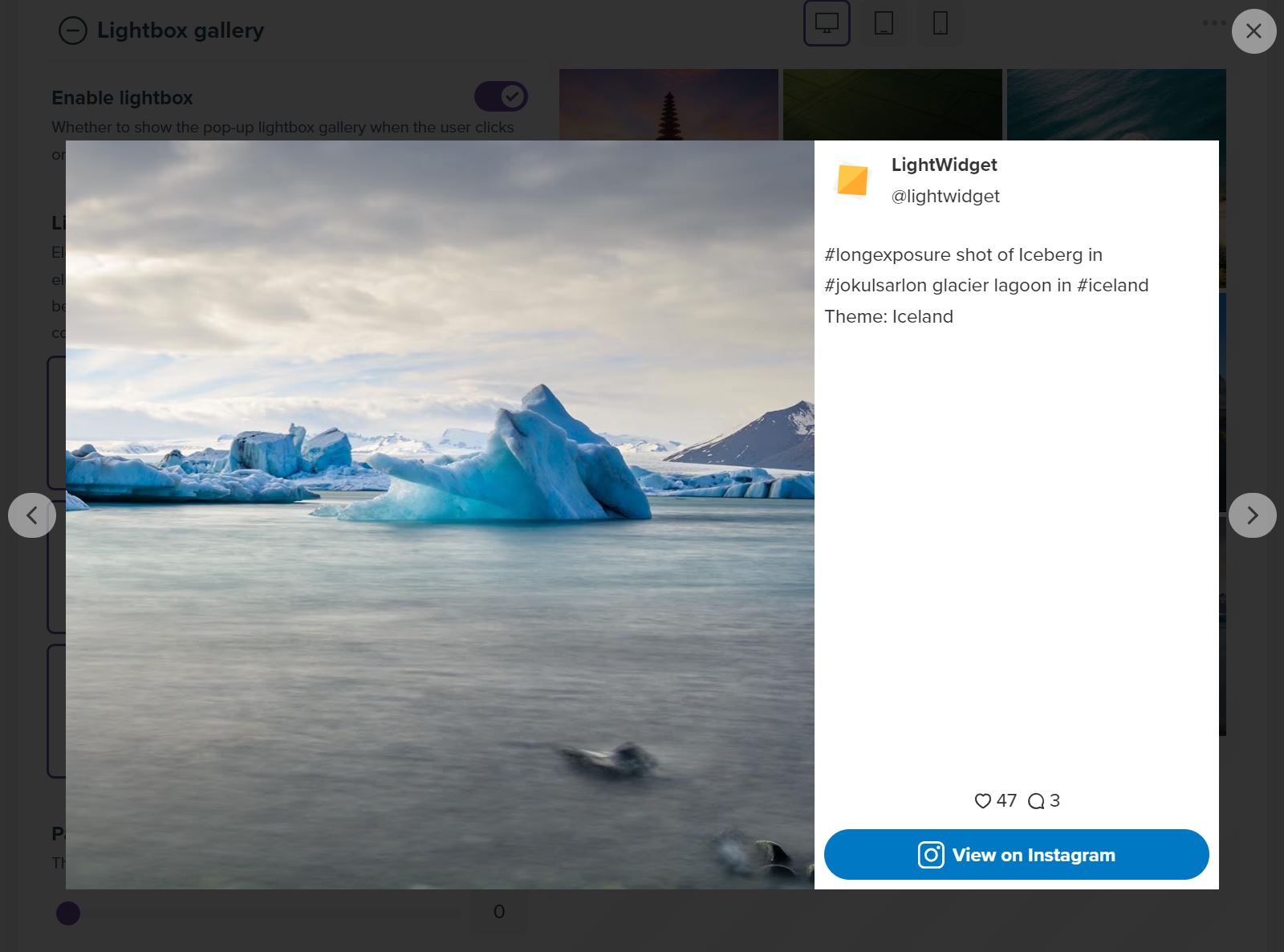 Screenshot showing the example of the lightbox gallery on our website.