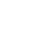 SNP The Transformation Company SNP The Transformation Company