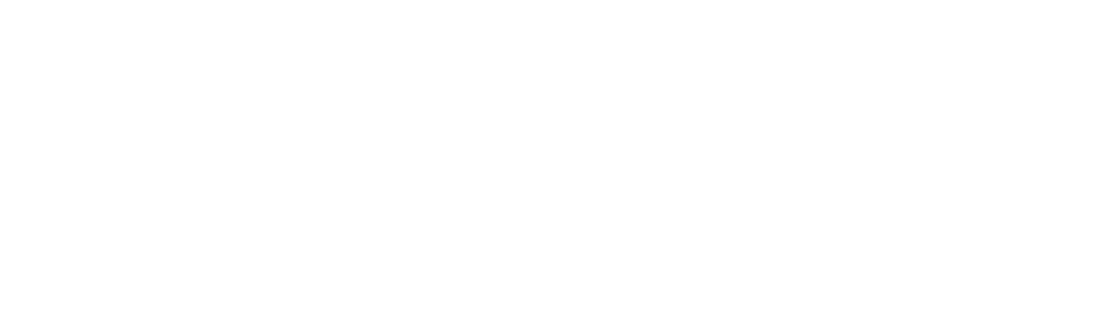 brajer logo white brajer logo white