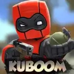 KUBOOM 3D