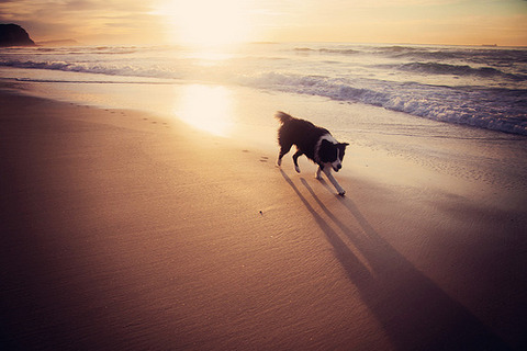 5748367135_26edc32af7