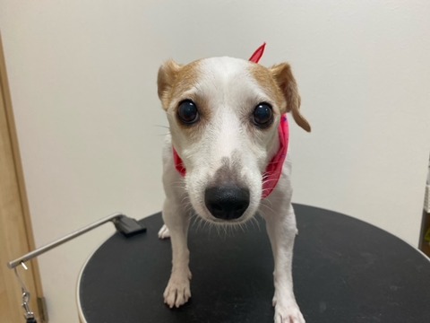 image0 - 2021-08-22T102241.667