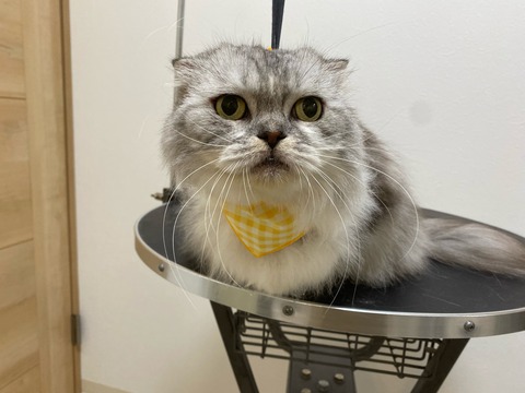 image1 - 2021-08-28T125539.312