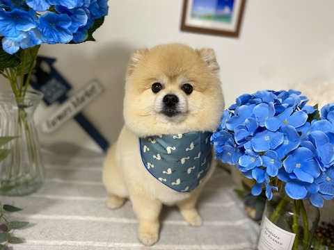 image0 - 2022-04-27T113921.902