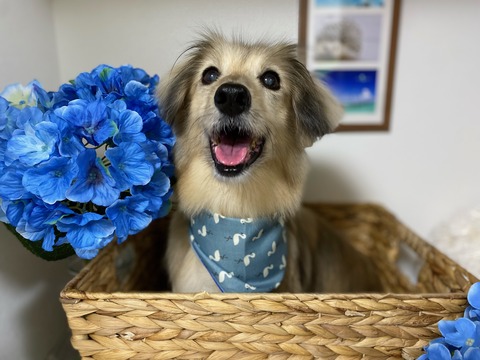 image0 - 2022-04-26T113017.022