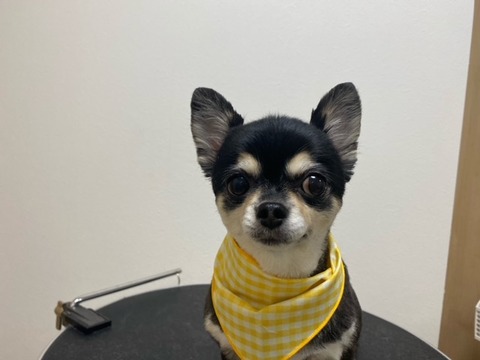 image1 - 2021-08-29T162510.834