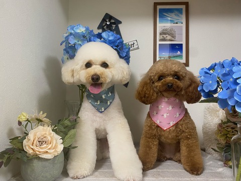 image0 - 2022-04-26T133851.608