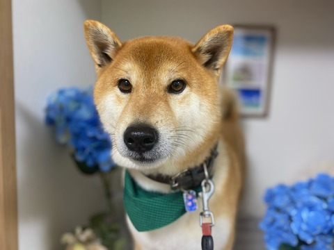 image0 - 2022-04-30T155341.159