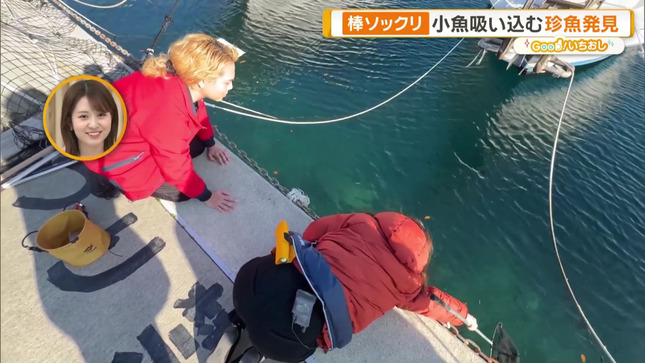 住田紗里 グッド!モーニング 16