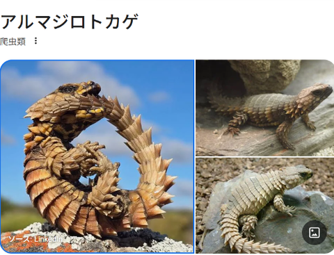 ダウンロード - 2026-01-14T065003.403