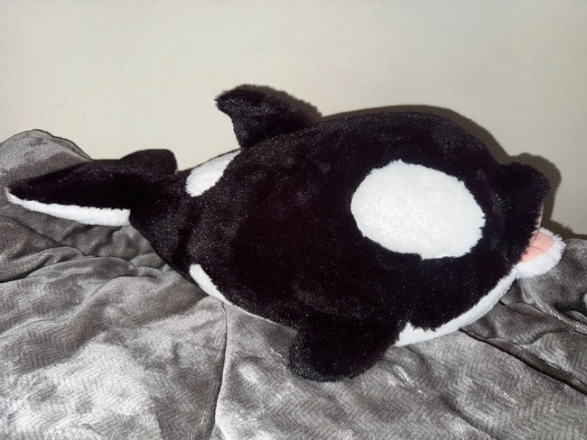 水宙翠 LiNLiNE リンクライン 地下アイドル 自撮り 谷間 胸 シャチ 人形 ぬいぐるみに関連した画像-05