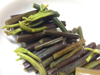 ¤ï¤é¤Ó¤Î¤ª¤Ò¤¿¤·