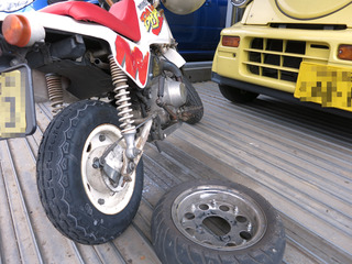 ¿·ÉÊ¥¿¥¤¥ä