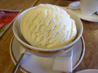 ¥í¥¤¥ä¥ë¥¢¥¤¥¹